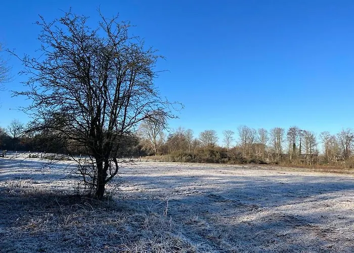 Vakantiewoning Met Dakterras - 150M Van Strand